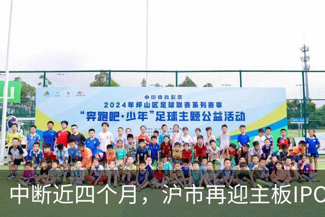 中断近四个月，沪市再迎主板IPO企业上会受审，业绩承压之下，“不差钱”的保伦股份能否闯关成功？
