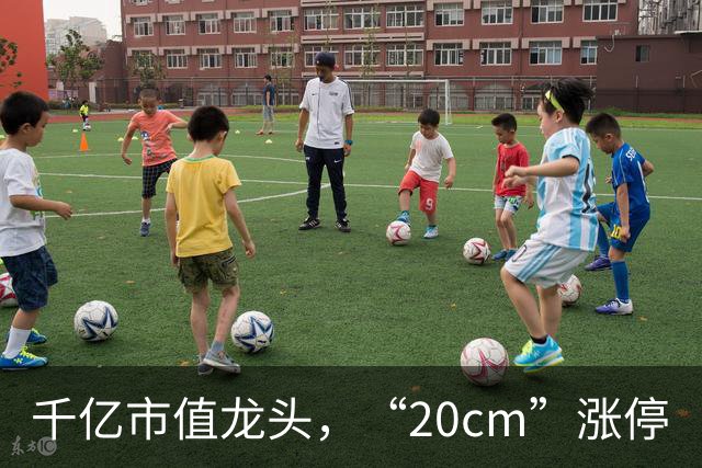 千亿市值龙头，“20cm”涨停