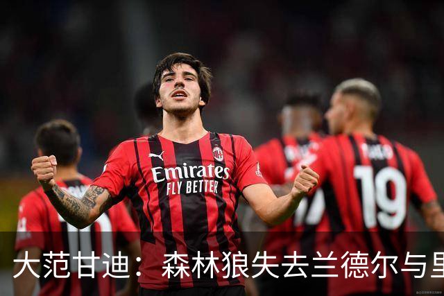 大范甘迪：森林狼失去兰德尔与里德实力骤降 最多排西部第六