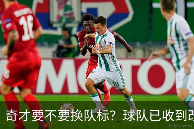 奇才要不要换队标？球队已收到改版请求，球迷投票定夺