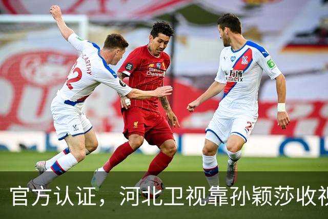 官方认证，河北卫视靠孙颖莎收视登顶！
