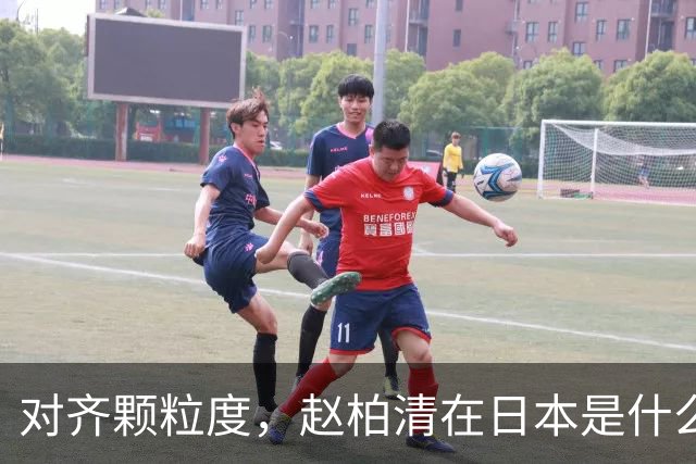 对齐颗粒度，赵柏清在日本是什么水平？