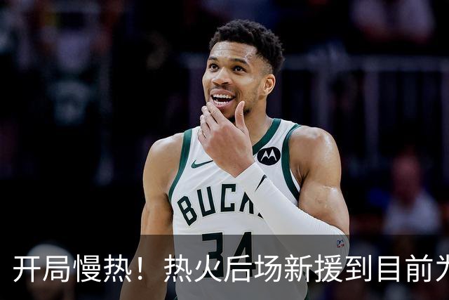 开局慢热！热火后场新援到目前为止的情况令人有些担心？