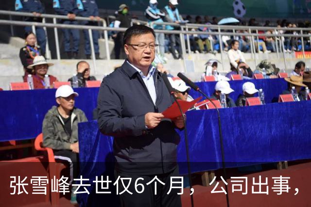 张雪峰去世仅6个月，公司出事，武亮“转移财产”只是冰山一角