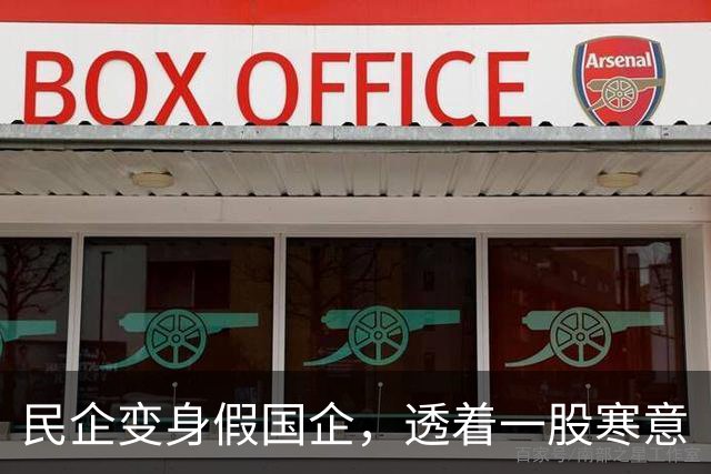 民企变身假国企，透着一股寒意