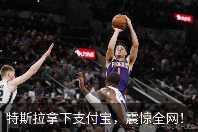 特斯拉拿下支付宝，震惊全网！