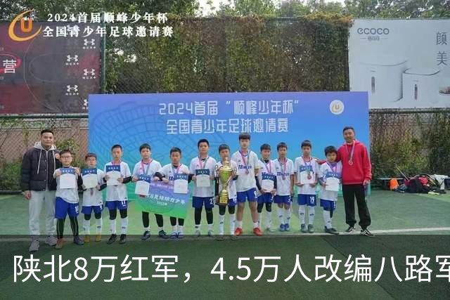 陕北8万红军，4.5万人改编八路军，另外3.5万人毛主席的安排真妙